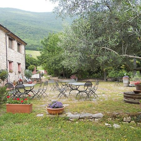 卡斯泰莱门多Il Giardino Degli Ulivi别墅 外观 照片